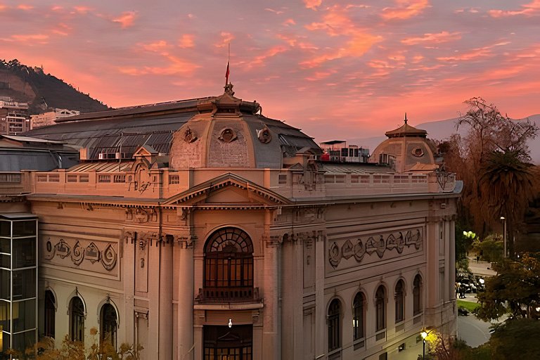 Sobre el Museo Bellas Artes