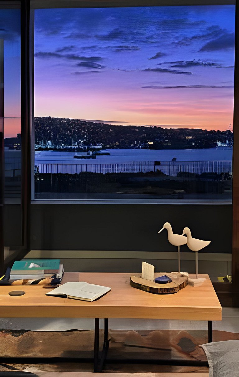Valparaíso con vista a la bahía